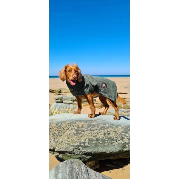 Danish Design Towelling Green Adult Dog Robe 4 Danish Design Towelling Green Adult Dog Robe - Image 2