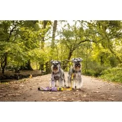 Long Paws Funk The Dog Leopard Dog Collar - Pink -pet shop I9684308 en 03