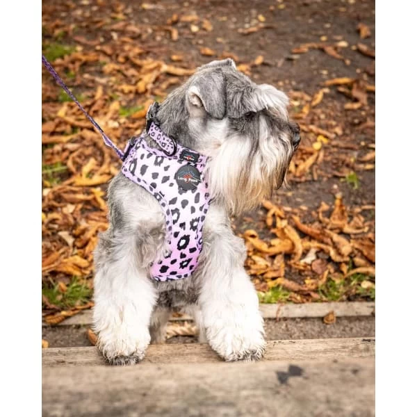 Long Paws Funk The Dog Leopard Dog Harness - Pink 6 Long Paws Funk The Dog Leopard Dog Harness - Pink - Image 4